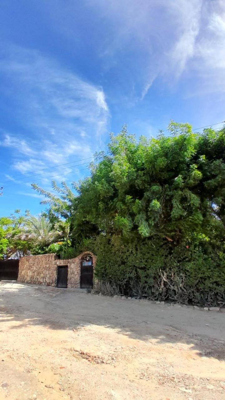 Steviewonderland Playa El Yaque Hotel Екстериор снимка