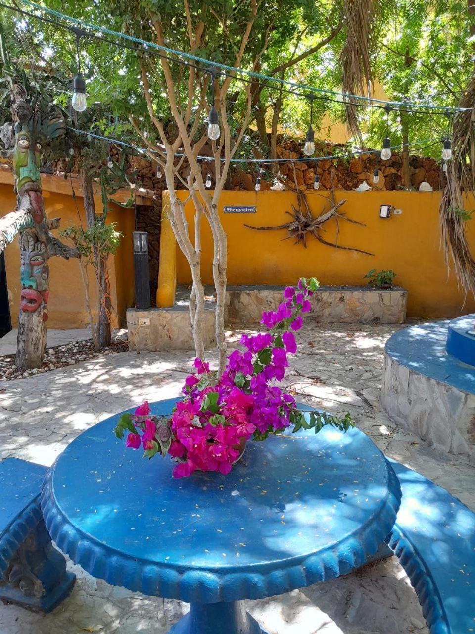 Steviewonderland Playa El Yaque Hotel Екстериор снимка