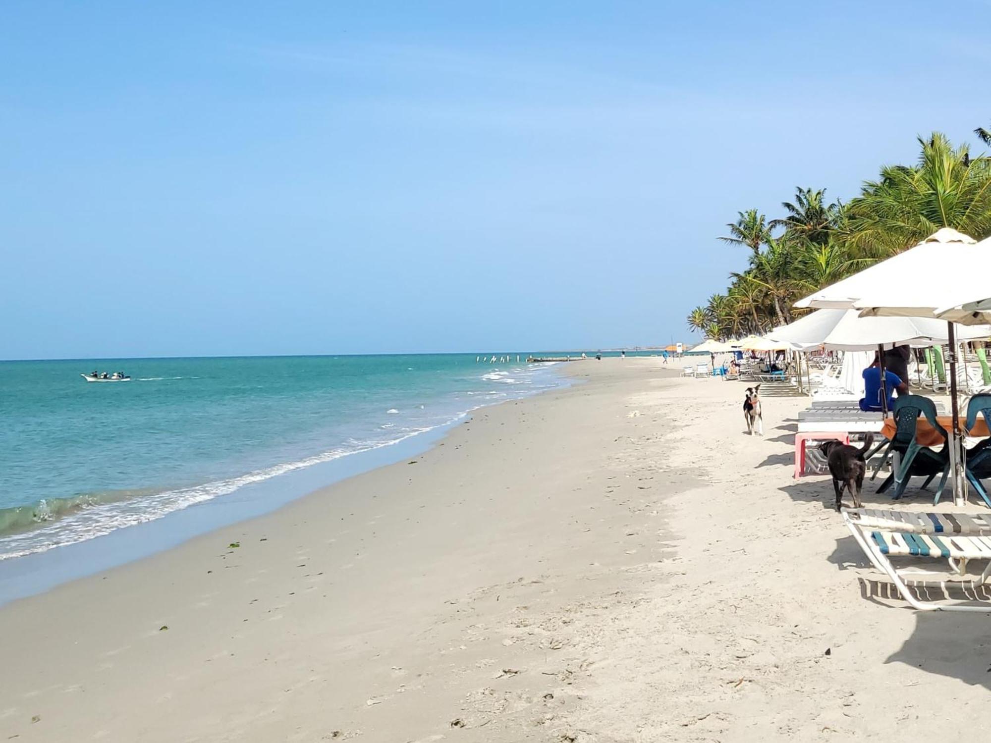 Steviewonderland Playa El Yaque Hotel Екстериор снимка